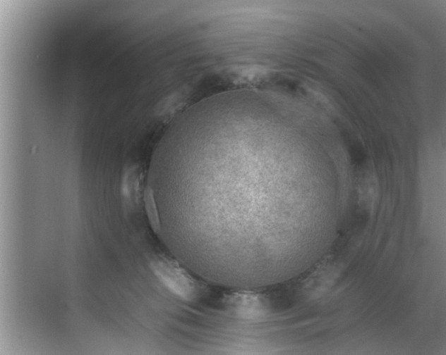 X0000070390276200606161418