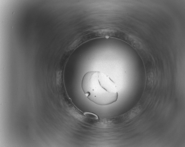 X0000070390278200606161418