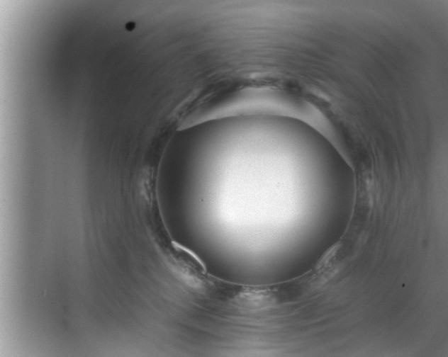 X0000070390280200606161418