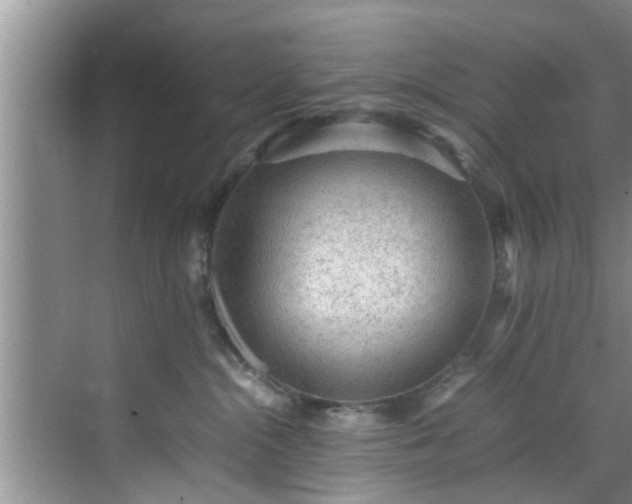 X0000070390284200606161418