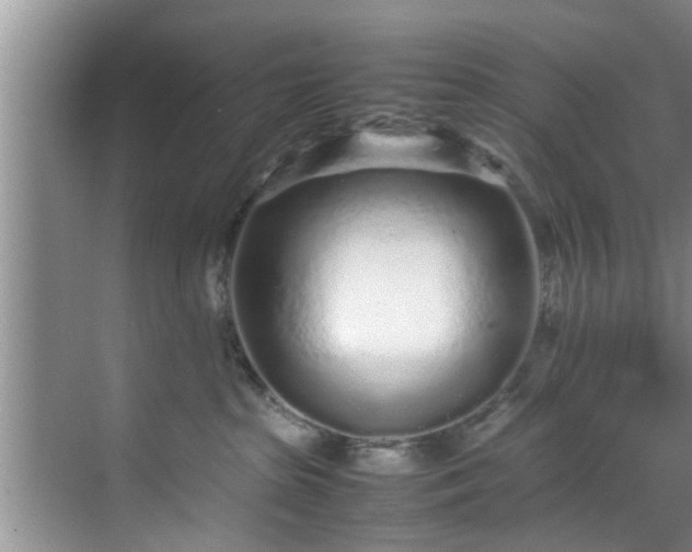 X0000070390285200606161418