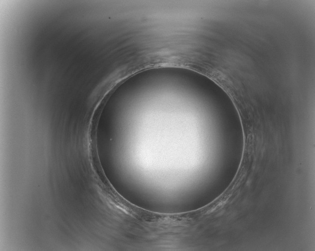 X0000070390290200606161417