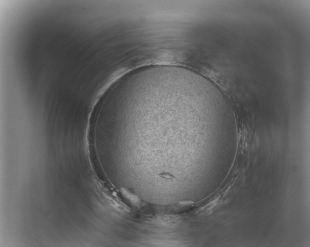 X0000070390292200606161417