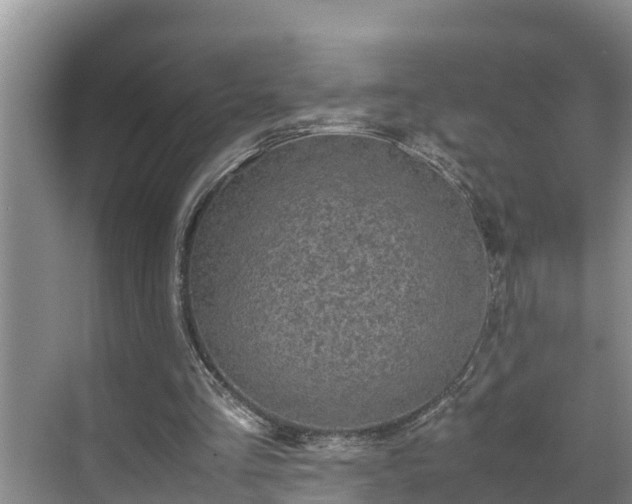 X0000070390293200606161417