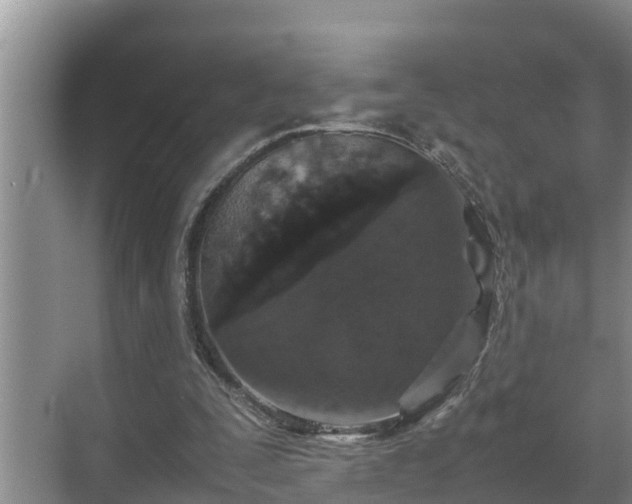 X0000070390295200606161417