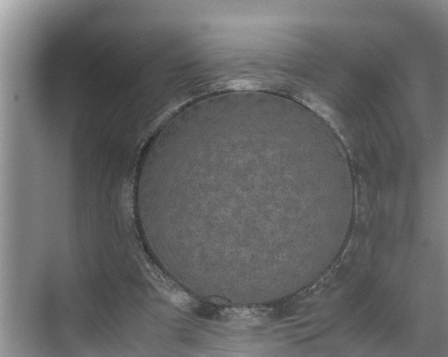 X0000070390297200606161417