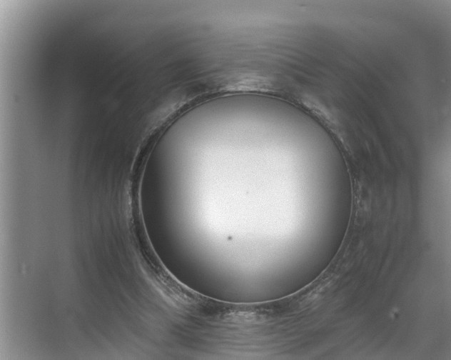 X0000070390298200606161417