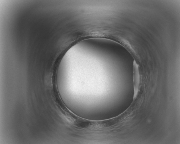 X0000070390299200606161417