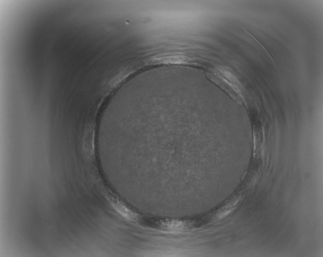 X0000070390301200606161417