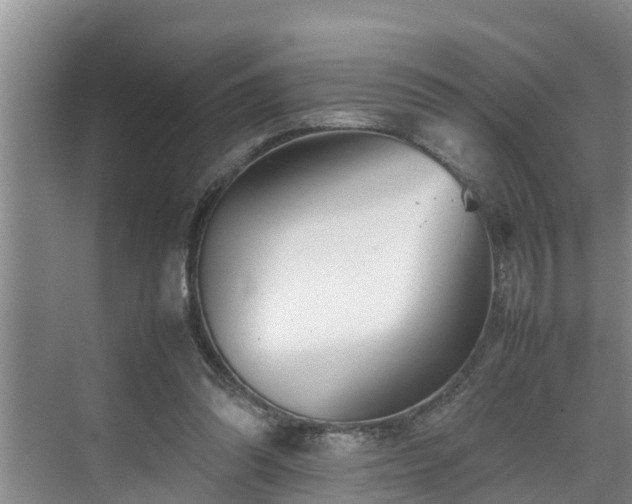 X0000070390302200606161417