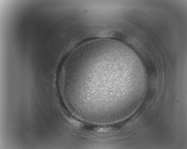 X0000070390303200606161417