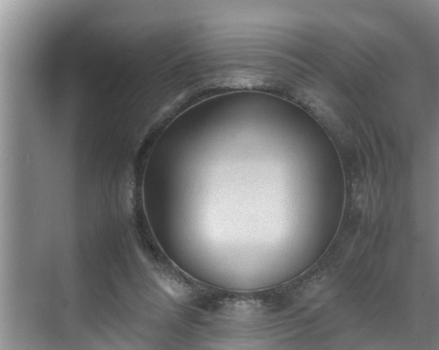 X0000070390304200606161417