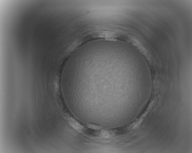 X0000070390305200606161417