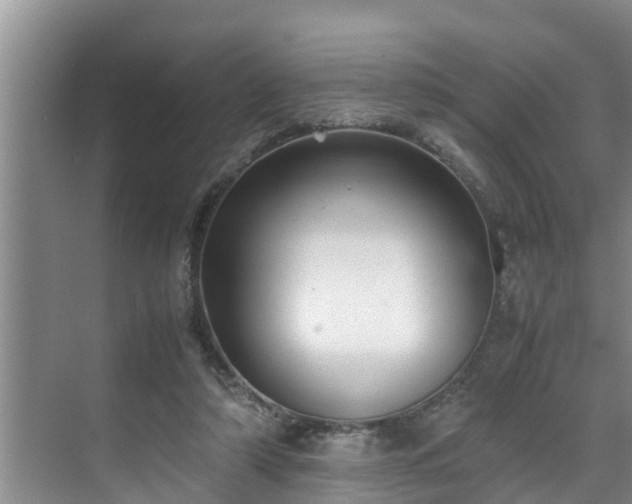 X0000070390306200606161417