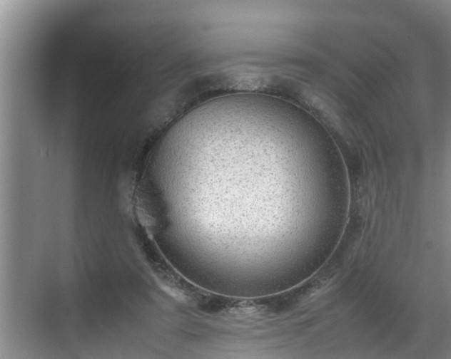 X0000070390307200606161417