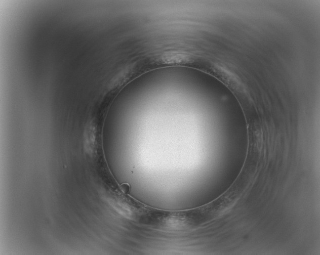 X0000070390308200606161417