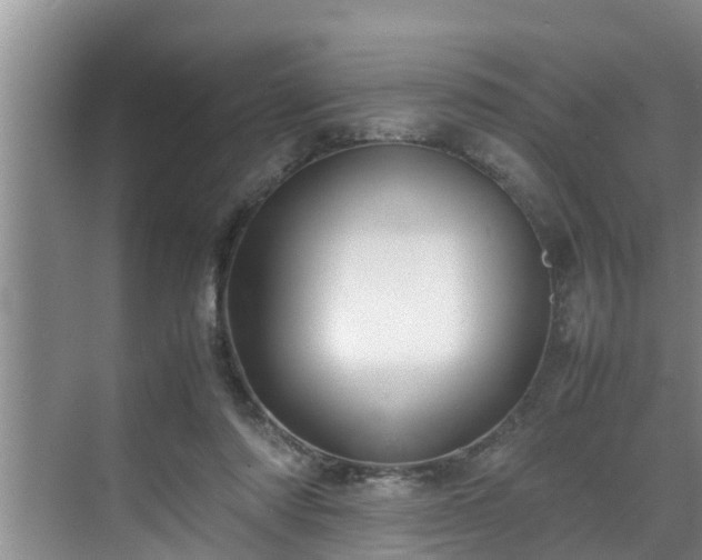 X0000070390310200606161417