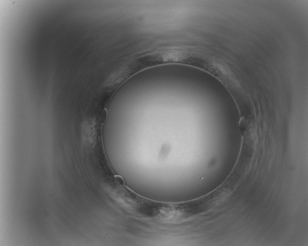 X0000070390311200606161417