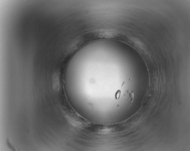 X0000070390312200606161417