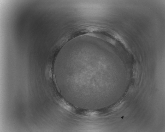 X0000070390313200606161417