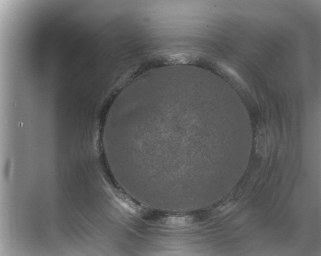 X0000070390314200606161417