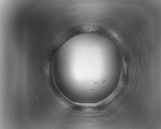 X0000070390315200606161417