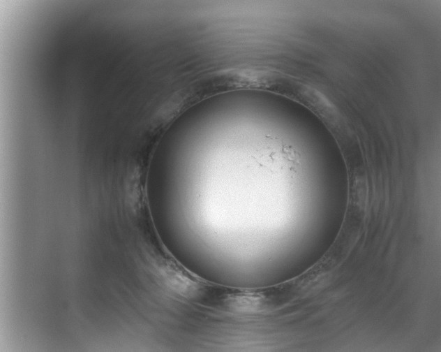 X0000070390318200606161417