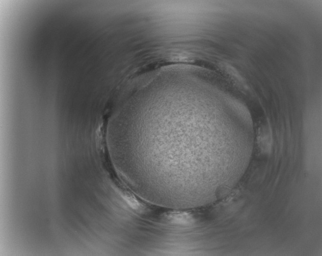 X0000070390322200606161416