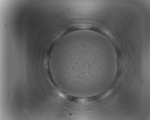 X0000070390325200606161416