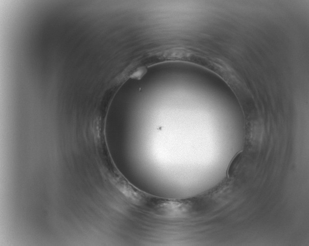 X0000070390326200606161416