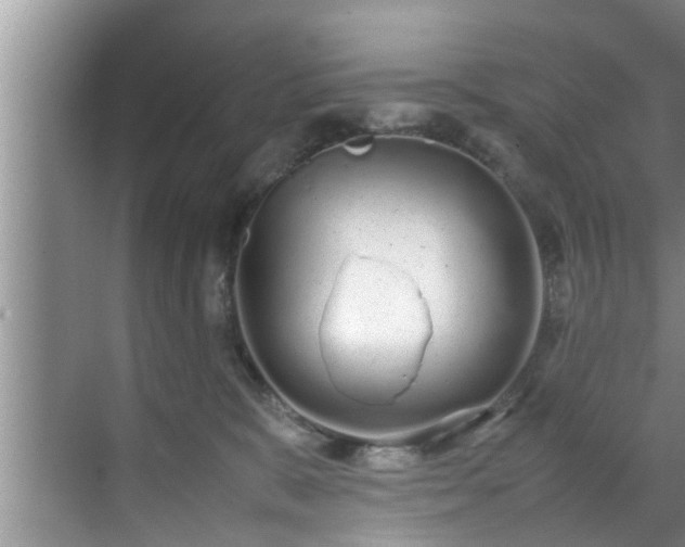 X0000070390327200606161416