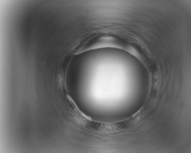 X0000070390329200606161416