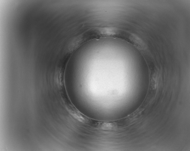 X0000070390330200606161416