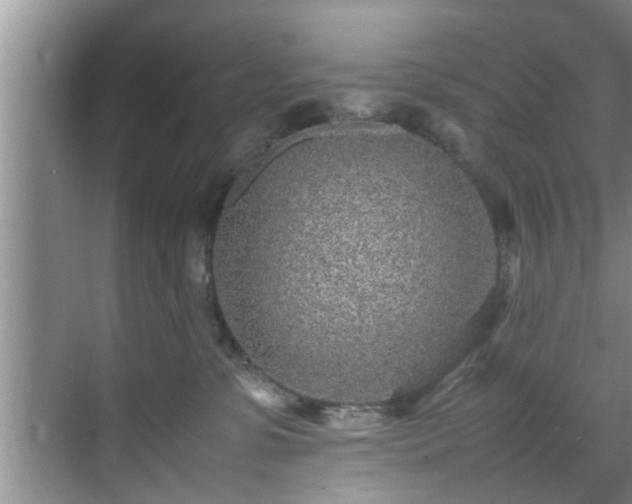 X0000070390331200606161416