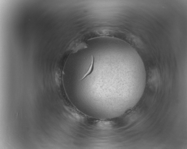 X0000070390332200606161416