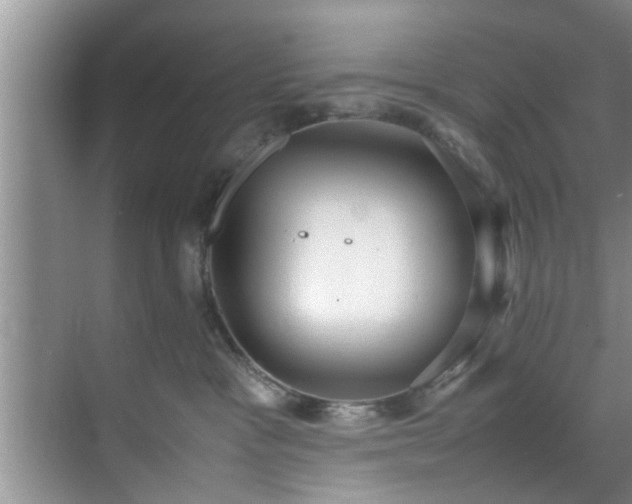 X0000070390333200606161416