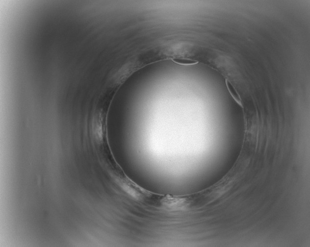 X0000070390334200606161416