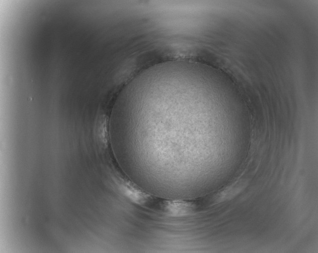 X0000070390336200606161416