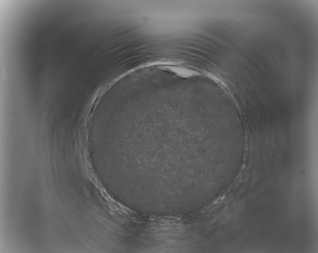 X0000070390337200606161415