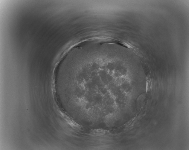 X0000070390339200606161415