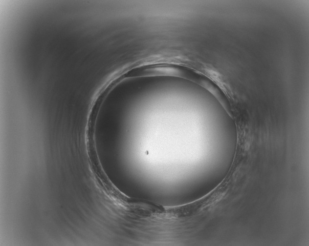 X0000070390340200606161415