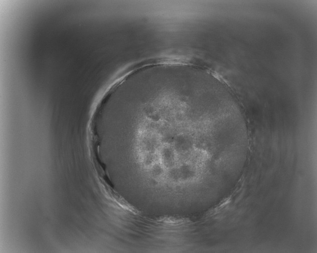 X0000070390343200606161416