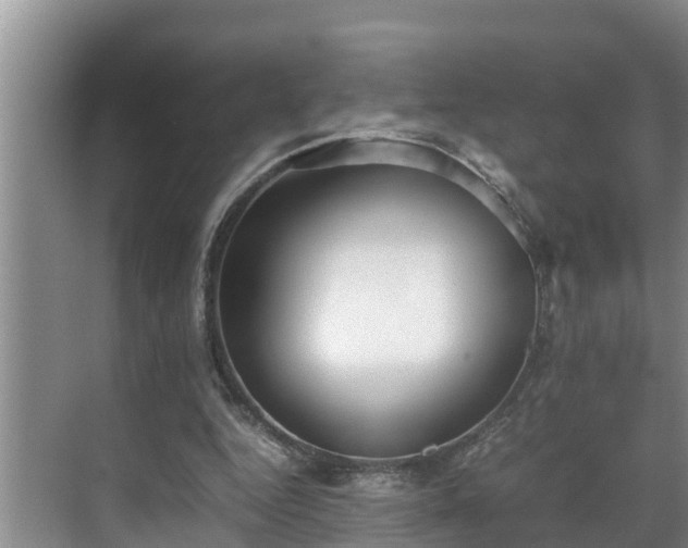 X0000070390344200606161416