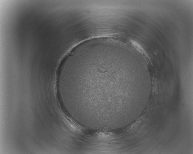 X0000070390346200606161416