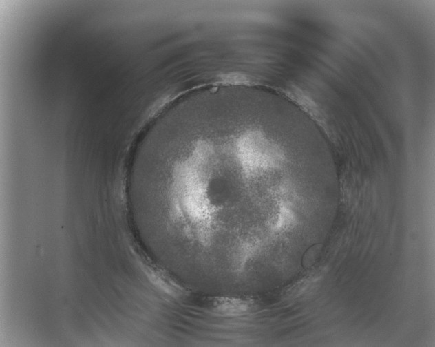 X0000070390347200606161416