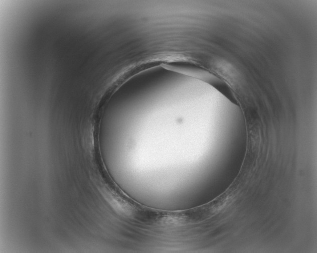 X0000070390350200606161416