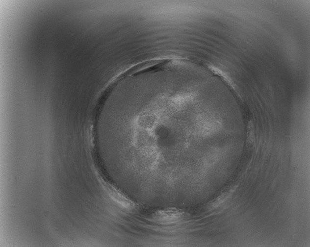 X0000070390351200606161416