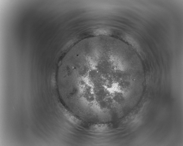 X0000070390353200606161416