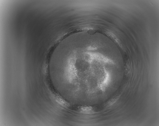 X0000070390355200606161416