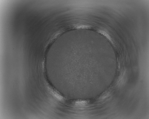 X0000070390357200606161416